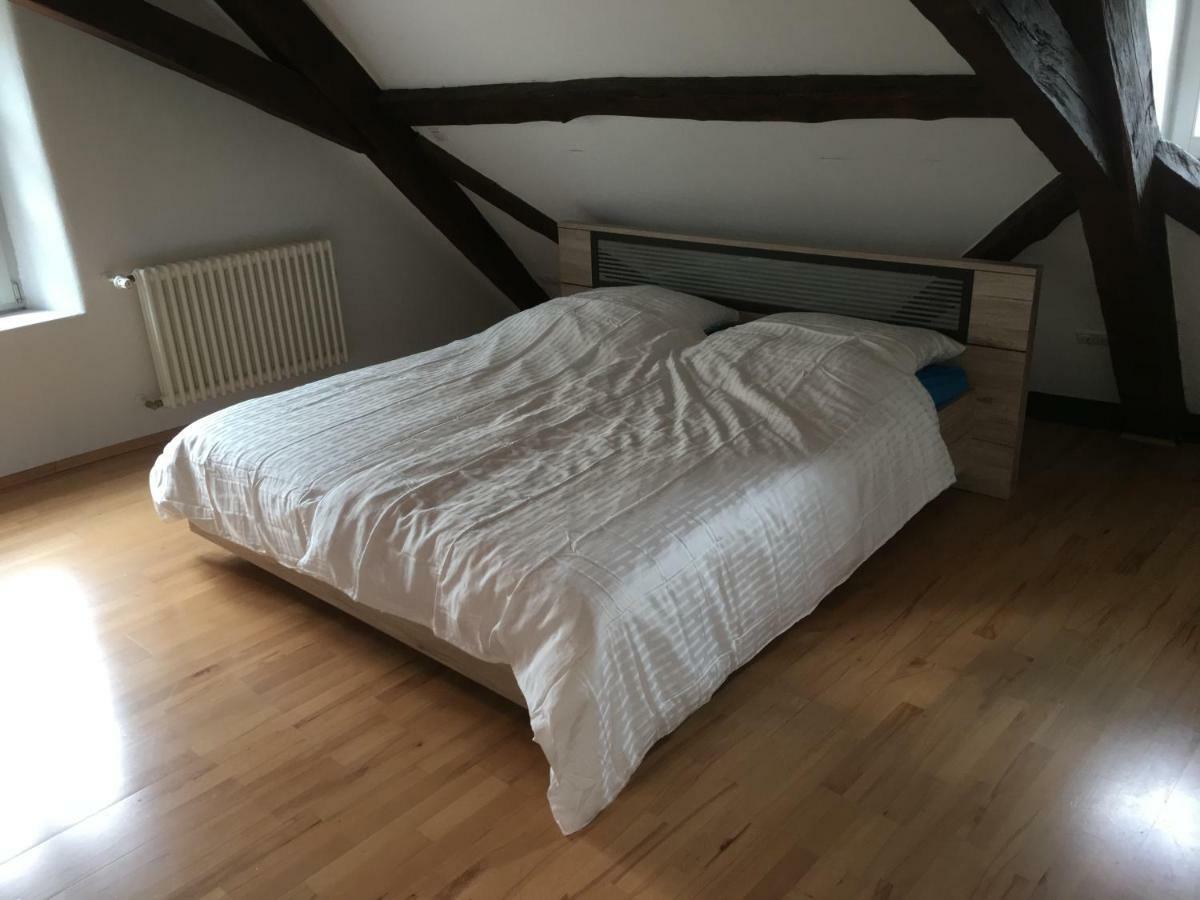 Kaiserslautern Apartment Bagian luar foto